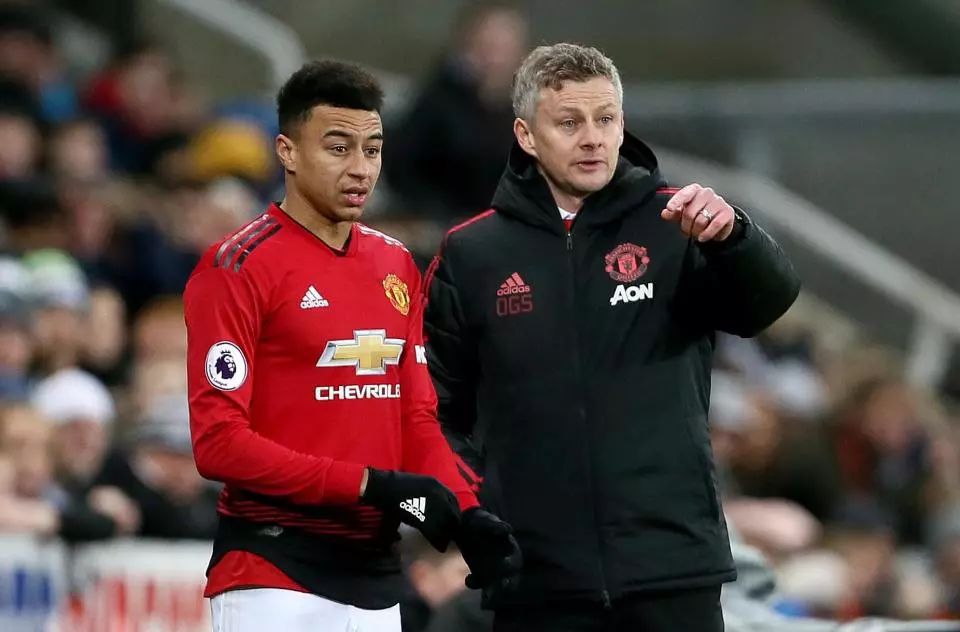 佩德罗选择 佩德罗选择