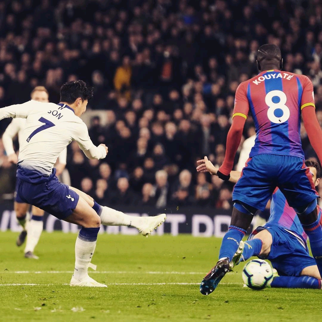 选显得更为 选显得更为